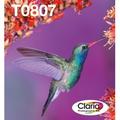 Epson Hummingbird 6-Farb-Multipack T0807 Claria Photographic Ink EasyMail