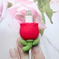 Red Roses Apple Pd Data Cable Protective Case