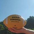 pc Size Rubber American Football