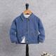 Young Boy Dinosaur Print Denim Jacket Without Tee