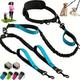 In Hands Free Double Dog Leash For Dogs With Padded HandlesNo Pull Dog Running Leash For Training Hiking Jogging Running Walking Dual Dog Leash For