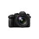 Panasonic DMC-FZ2000EB 20.1 MP 20x Optical Zoom Lumix Bridge Camera - Black