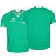 (L) Ireland Rugby 2023 World Cup Home Pro Jersey Green