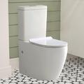 Rimless Close Coupled Comfort Height Toilet WC Cistern And Round UF Toilet Seat