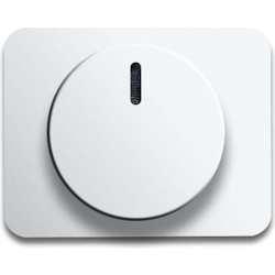 Busch-Jaeger Zentralscheibe stws gl 6540-24G 2CKA006599A2324 Image