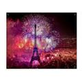 jigsaw 1000 pieces,Paris, Eiffel Tower,jigsaw adults and kids puzzles difficulty jigsaw game role jigsaw educational game toy family decoration(75x50cm）-94