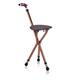 Lightweight Adjustable Folding Cane Seat with Light