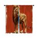 Wildon Home® Lion Window Curtains Animal Majestic creature Drapes - 2 Panels | 20" W x 63" L | Wayfair CDE074AD63804982973A01DF039FBF17