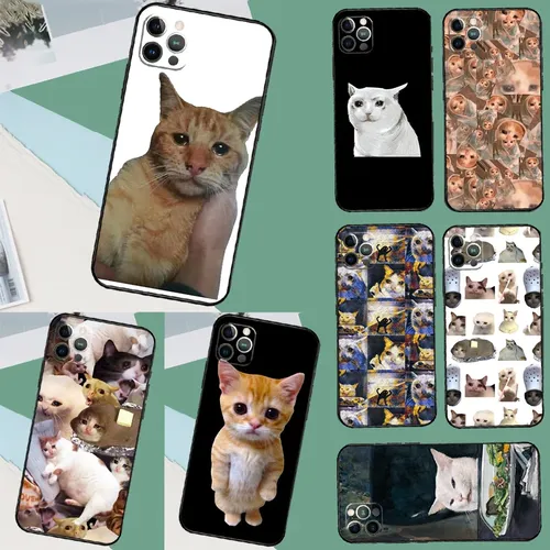 Weinende Katze Memes Fall für iPhone 15 Pro Max Plus 12 13 Mini 11 14 Pro max xs x xr 7 8 se 2020