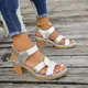 Women Platform High Heels Sandals 2024 Summer Dress Chunky Open Toe Shoes New Design Brand Slingback