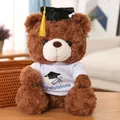 23/28cm Cute Dr. Bear Plush Toy Stuffed Soft Colorful Kawaii Teddy Bear Animal Dolls Graduation