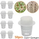 50pcs Hydroponic Soilless Mesh Net Basket Plant Veg Grow Nursery Cup Pot Sponge Tray Aeroponic Veg