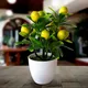 Artificial Lemon Tree Fake Potted Flower Simulated Decorations Bonsai Fruit Potted Plants Desk