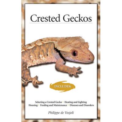 Crested Geckos: From The Experts At Advanced Vivarium Systems