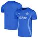 Men's Puma Blue Iceland National Team 2024 Pre-Match Jersey