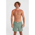 Badeshorts O'NEILL "VERT 16'' SWIM SHORTS" Gr. M, N-Gr, grün (lily pad) Herren Badehosen Bekleidung