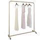 zcllove Garment Display Rack, Heavy Metal Clothes Rail with Wheels, Independent Clothes Hanger, Bedroom Clothes Sorting Rod/Golden/60cm