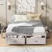 Queen Size Platform Bed with 6 Storage Drawers, Wooden Queen Bedframe