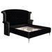Coaster Furniture Deanna Tufted Upholstered Bed