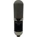 Pinnacle Microphones Vin-Jet Long-Ribbon Microphone with Stock Transformer (Standard) D-VIN