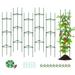 6 Pack Tomato Cage, Plant Supports Garden Stakes, Up to 49IN Multi-Functional Garden Trellis Stakes for Climbing Plants