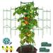 Heavy Duty Tomato Cages for Garden Plant Stakes Support with 164ft Plant Ties&40Pcs Plant Clips&5 Watering Drip Devices