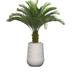 Vintage Home Artificial Faux Real Touch 60 In. Tall Cycas Palm Tree - Green