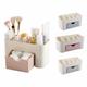 Desktop Makeup Organizer Plastic Storage Box Cosmetic Organizer Storage Case