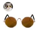 Unisex Sunglasses Fashion Cat Pet Eye Wear Bird Ladders for Cockatiels Men and Women
