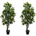 Pair 4 Feet Gorgeous & Lifelike Six-Branch Artificial Trees with Various Size Lemon Fruits with Nursery Pot Real Touch Tech 48 Yellow and Green 4 Count
