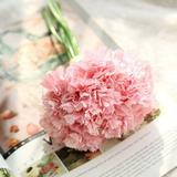 GlTpooo Mother s Day Flowers Carnation Bouquet Holding Flowers Mother s Day Simulation Flower Decoration (Buy 2 Get 1 Free)