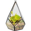 Glass Geometric Terrarium Succulent & Air Plant -Tear Drop (5.7 x 5.7 x 7 in) - Great for Indoor Gardening Decor