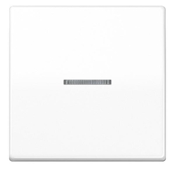 Jung Wippe AS 101 KO5 WW AS101KO5WW Image