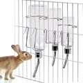 Distributeur d'eau pour petit animal de compagnie bouteille à boire pour hamster lapin