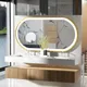 Large LED Oval Bathroom Mirror with Stepless Dimmable Lighted Vanity Mirror for Wall Mounted Vanity