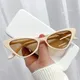 Cat's Eye Sunglasses for Women New Retro Small Frame Sunglasses Outdoor Riding Shades UV 400