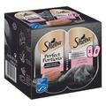 Sheba Perfect Portions 48 x 37,5 g pour chat - Terrine de luxe - saumon