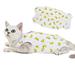 Cat Surgical Recovery Suit After Surgery Wear Pajama Suit Home Indoor Pets Clothing(Banana) - M