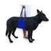 Canine Dog Sling Carrier Support Back Legs Hip Knee Hock Joint Harness to Help Lift Dogs Rear Aid (Blue) - M