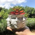 Flower Pots Multi Face Succulent Planter Vase Small Face Plante Head Face Vase Home Decoration Succulent Cactus Indoor Pot