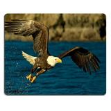 POPCreation Flight Wings Eagle Spray Bird Water Mouse pads Gaming Mouse Pad 9.84x7.87 inches