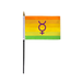 AGAS Small Hermaphrodite Double Mars and Venus Pride Flag 4x6 inch Flag on a 11 inch Plastic Stick - Sewn Edges Fade Resistant Polyester - Hermaphrodite Handheld Flag