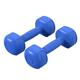 DEEYIN Dumbells A Pair Of Dumbbells, Kilograms, Unisex Fitness Equipment, Household Arm Shaping And Slimming Yoga Dumbbells Dumbell Set (Color : Blue, Size : 2KG)