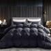 Luxurious All-Season Goose Down Feather Fiber Comforter Queen Size Duvet Insert, Pinch Pleat, 100% Egyptian Cotton Cover