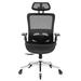 Ceballos BLACK Ergonomic Mesh Office Chair{31 Upholstered/Mesh | 46.6 H x 30.7 W x 30.7 D in | Wayfair LNnFZQ-W490127214