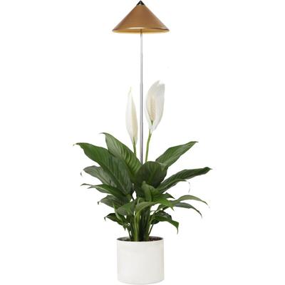 Digebis - Parus by Venso SUNLiTE 7W led Vollspektrum Pflanzenlampe Kupfer, Indoor Plants Pflanzen