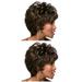 2 Pc Woman Hair Cover Wigs Curly Human High Temperature Fiber Black with Bangs Miss