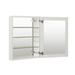 Latitude Run® Adine 19-In X 30-In Aluminum Mirrored Bathroom Medicine Cabinet w/ Adjustable Glass Shelves In Satin in Gray/White | Wayfair