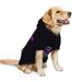 Hodgkin S Lymphoma Awareness Month In September We Wear Violet Dog Clothes Hoodie Pet Pullover Sweatshirts Pet Apparel Costume For Medium And Large Dogs Cats X-Large