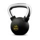 ZIVA Performance Kettlebell, Schwarz, 16 Kg